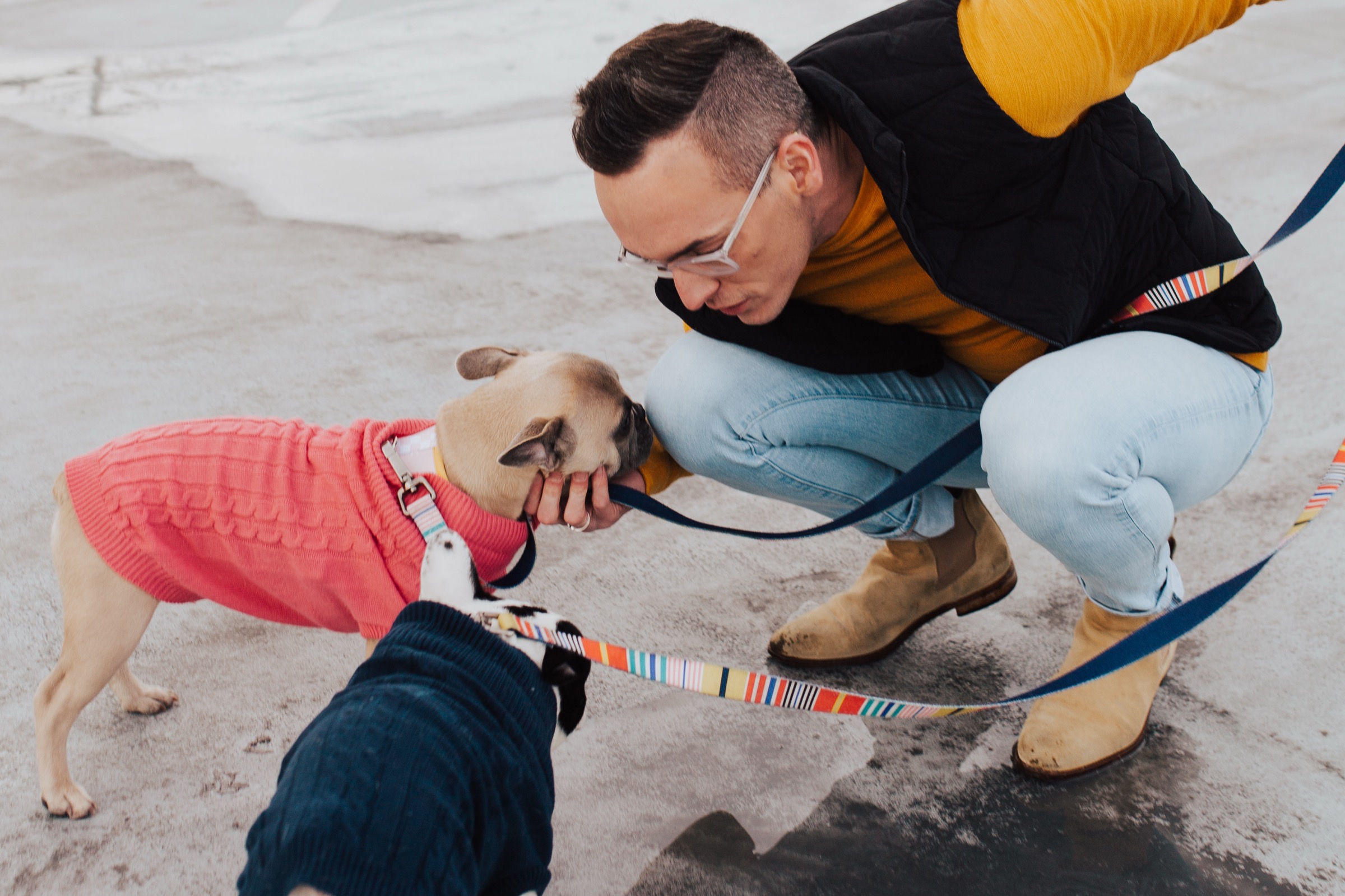 Tyler crouching to greet a dog in a pink sweater on the street