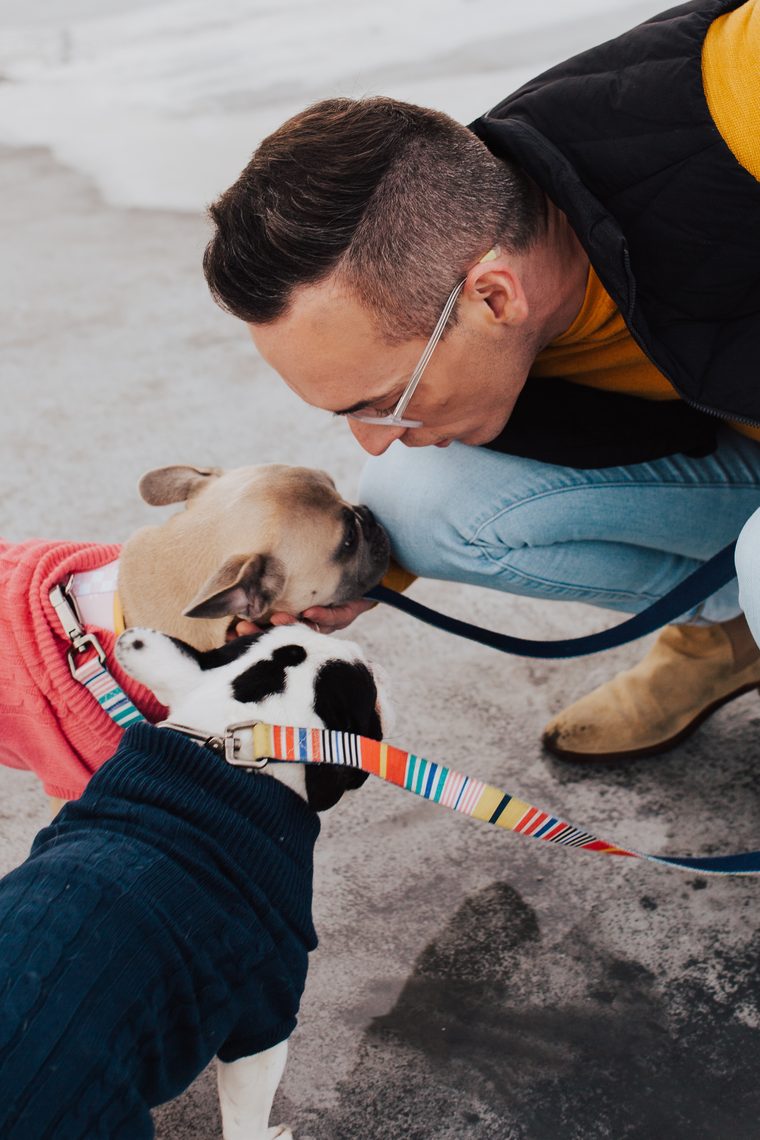 Tyler crouching nose to nose with a fawn French Bulldog, a black and white Frenchie at his side