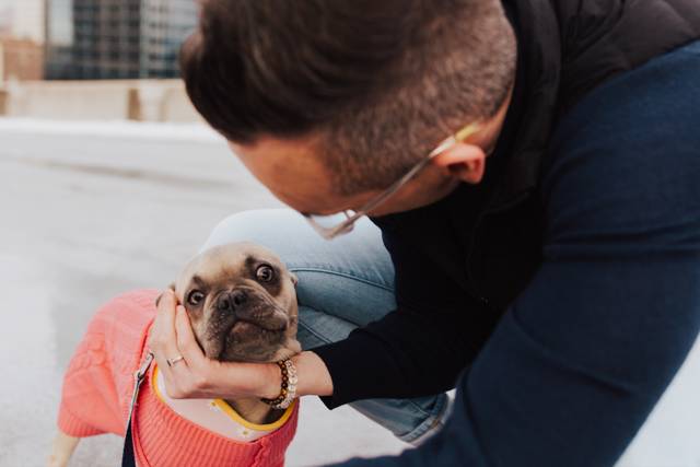 Tyler kneeling to cradle the face of a fawn French Bulldog in a pink sweater